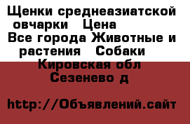 Щенки среднеазиатской овчарки › Цена ­ 20 000 - Все города Животные и растения » Собаки   . Кировская обл.,Сезенево д.